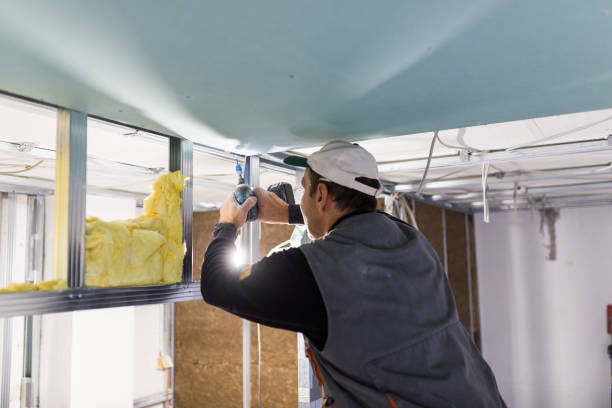 Best Residential Insulation Services  in Eagleville, PA